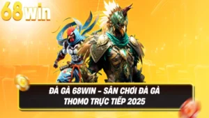 Đá Gà 68WIN - Sân chơi đá gà Thomo trực tiếp 2025